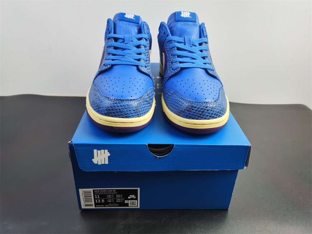 from UNDEFEATED x Nike SB Dunk Low DH6508-400