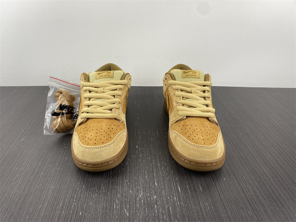 from SB Dunk Low 883232-700