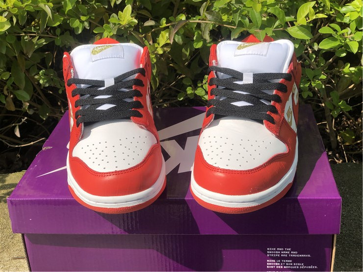 from Supreme x Nike SB Dunk Low DG3228 161