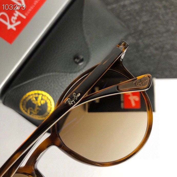 R*ayban Glasses Top