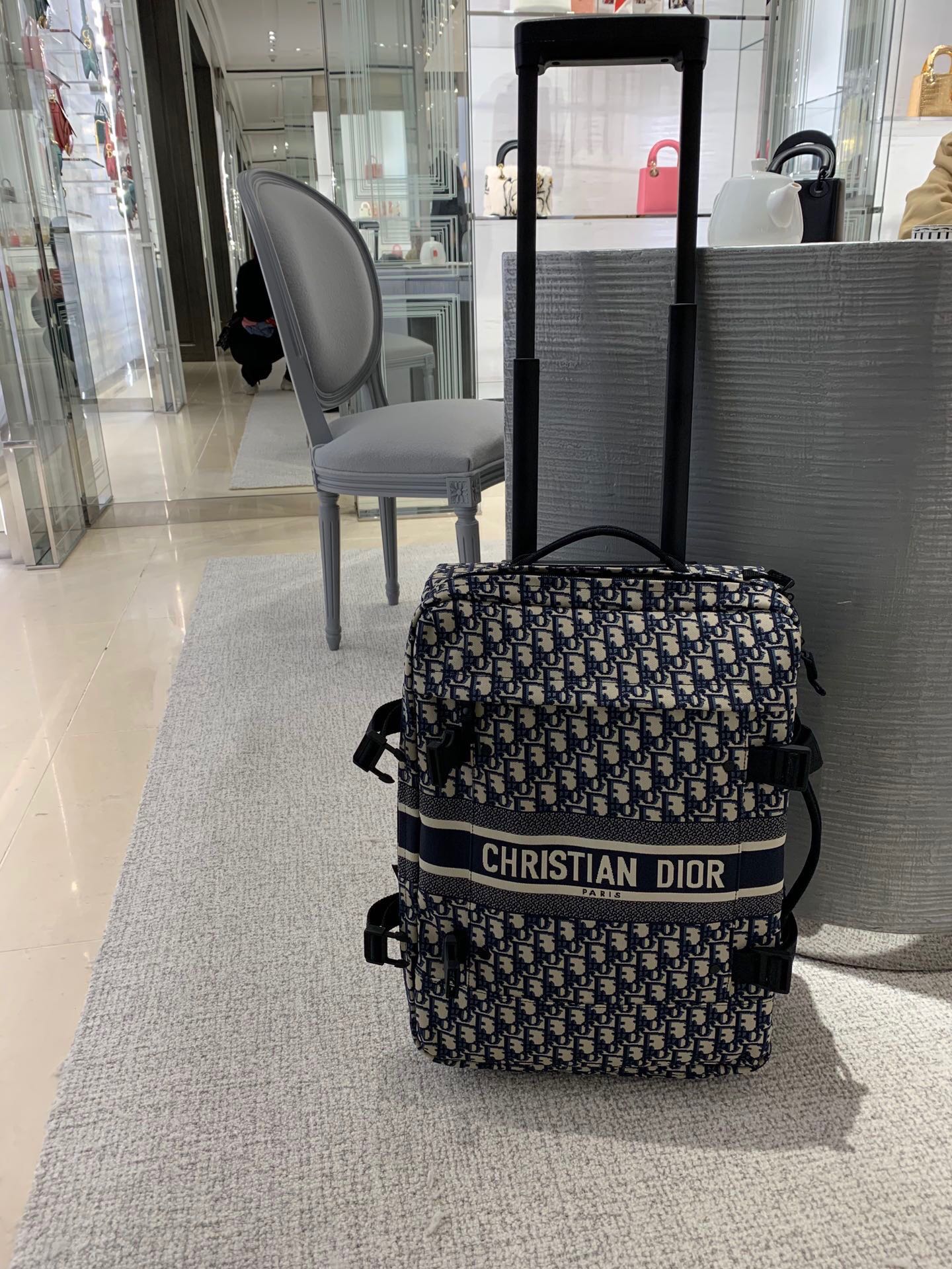 D*ior Luggage 20 inch