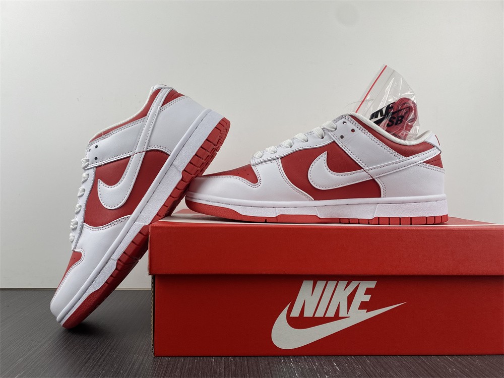 from NIKE DUNK LOW RETRO DD1391-600