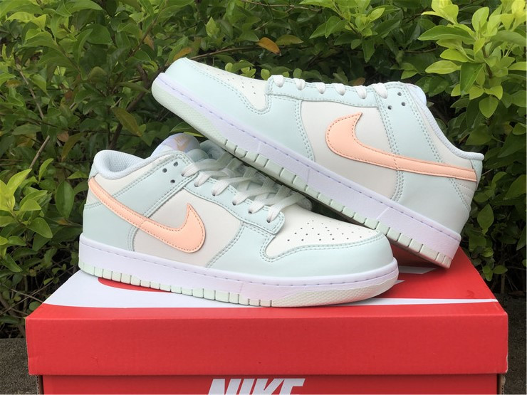 from Nike SB Dunk Low DD1503-104