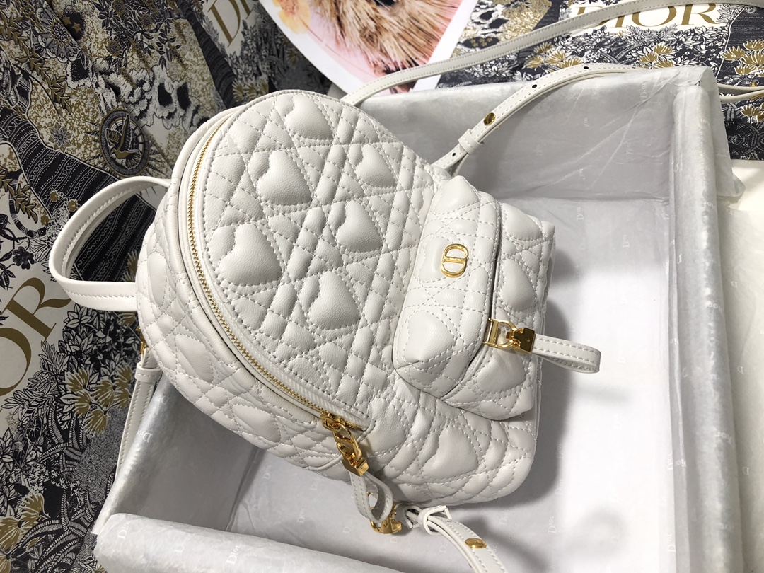 D*ior Bag Top Quality 16*21*8.5CM