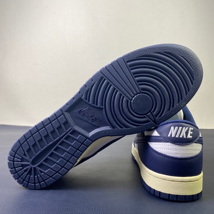 from Nike SB Dunk Low DD1503-115