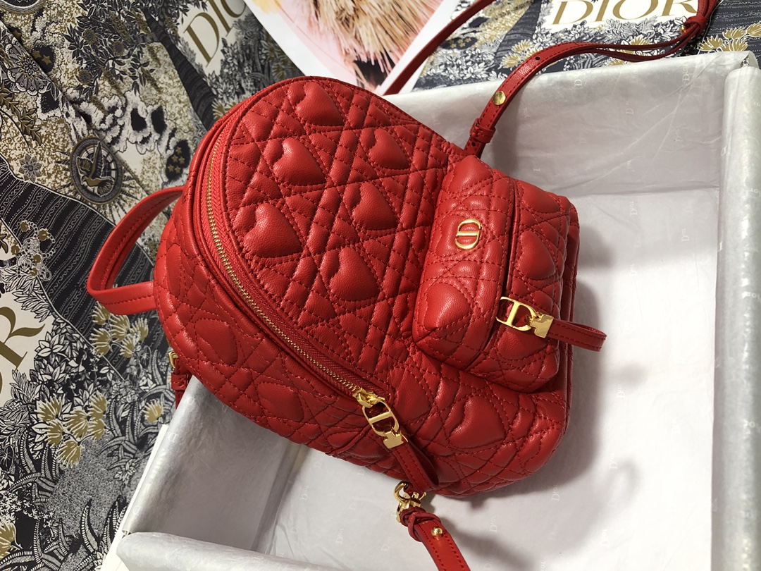 D*ior Bag Top Quality 16*21*8.5CM
