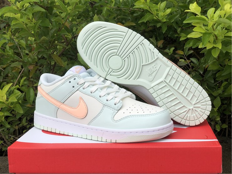 from Nike SB Dunk Low DD1503-104