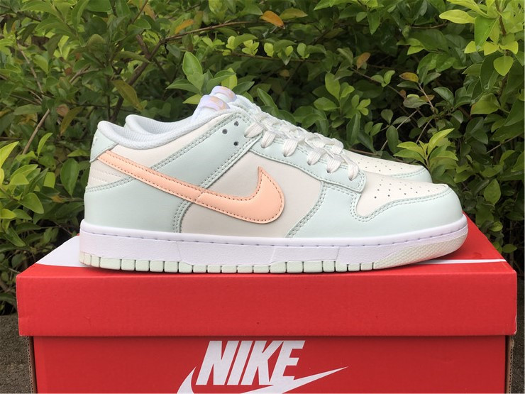 from Nike SB Dunk Low DD1503-104