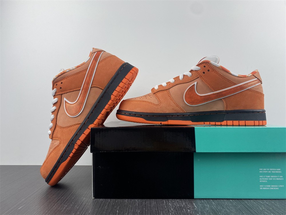 from Concepts x Nike SB Dunk Low FD8776-800