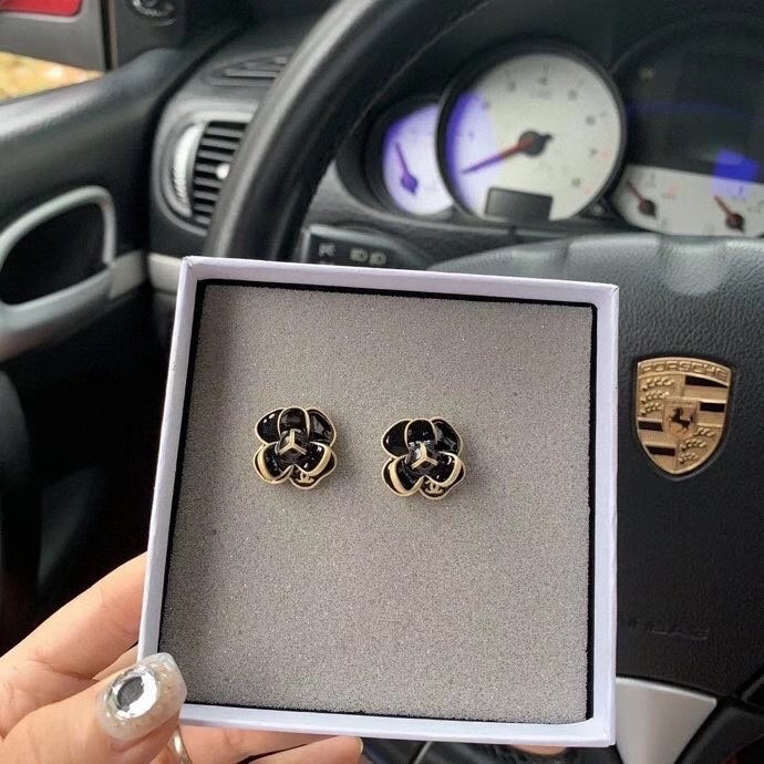 Earrings016