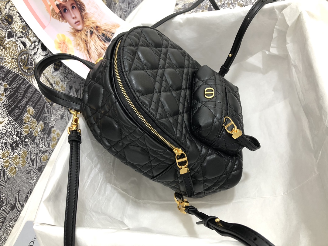 D*ior Bag Top Quality 16*21*8.5CM
