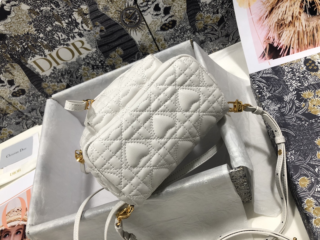 D*ior Bag Top Quality 16*21*8.5CM