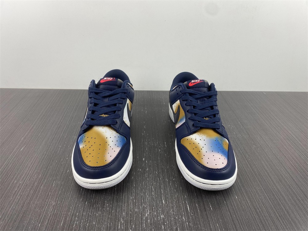 from Nike Dunk Low Retro PRM DM0108-400