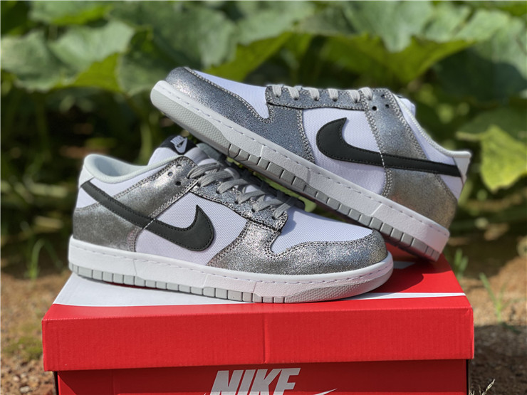 from Nike SB Dunk Low DO5882-001