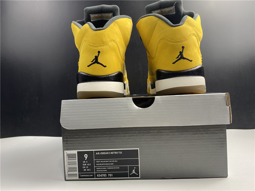 Air Jordan 5 Tokyo 454783-701