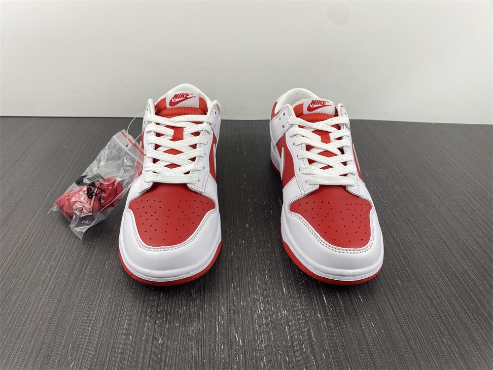 from NIKE DUNK LOW RETRO DD1391-600