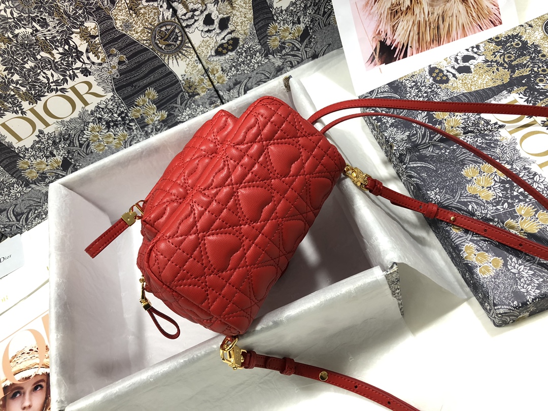 D*ior Bag Top Quality 16*21*8.5CM