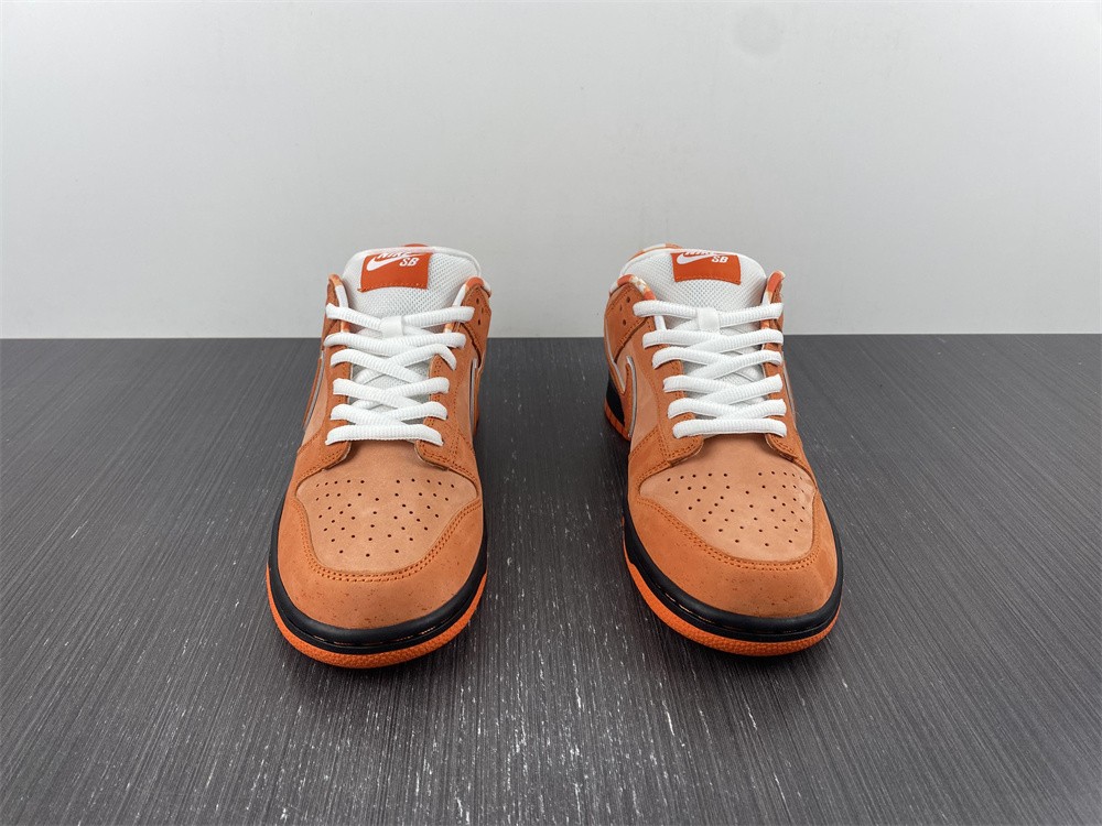 from Concepts x Nike SB Dunk Low FD8776-800