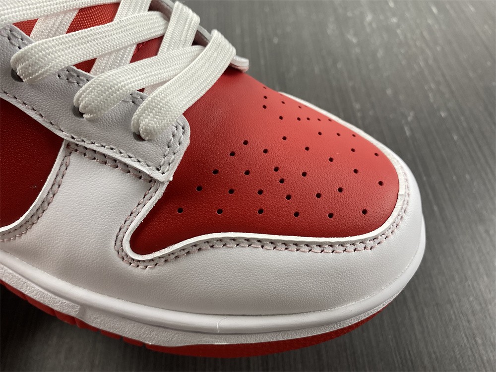 from NIKE DUNK LOW RETRO DD1391-600