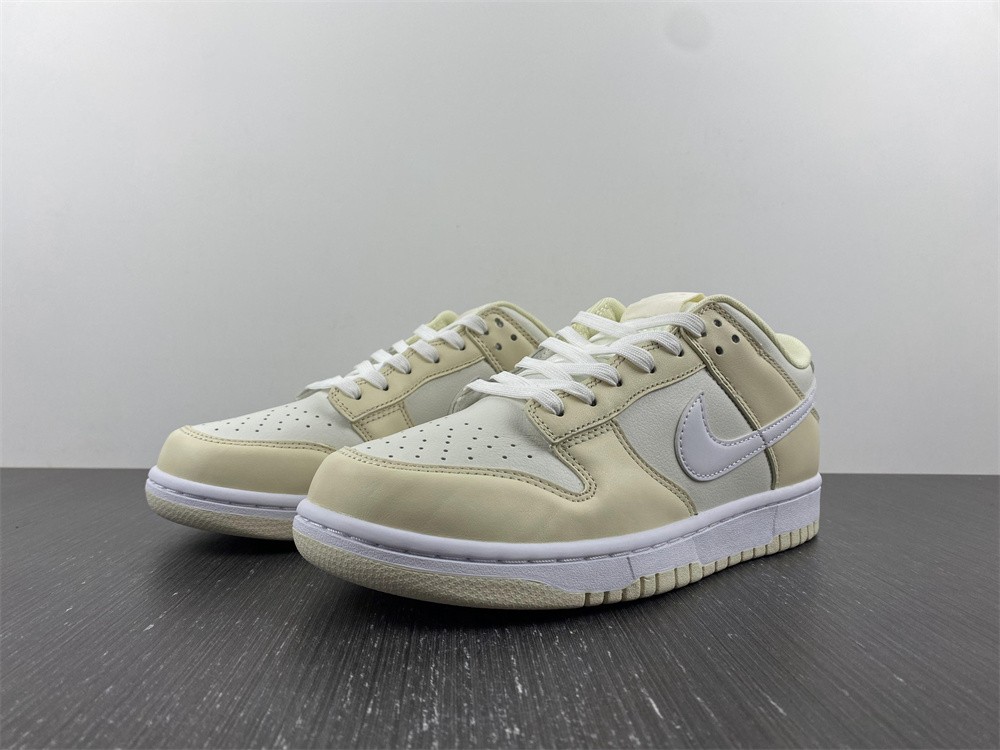 from SB Dunk Low DJ6188-100