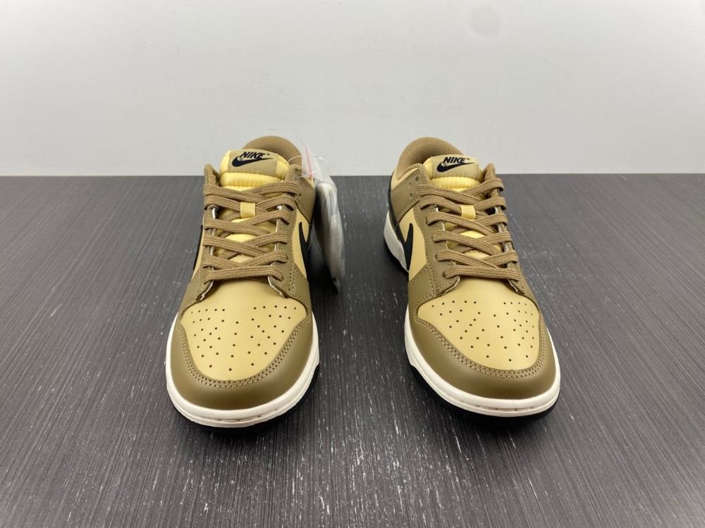 from SB Dunk Low Dark Driftwood DD1503-200