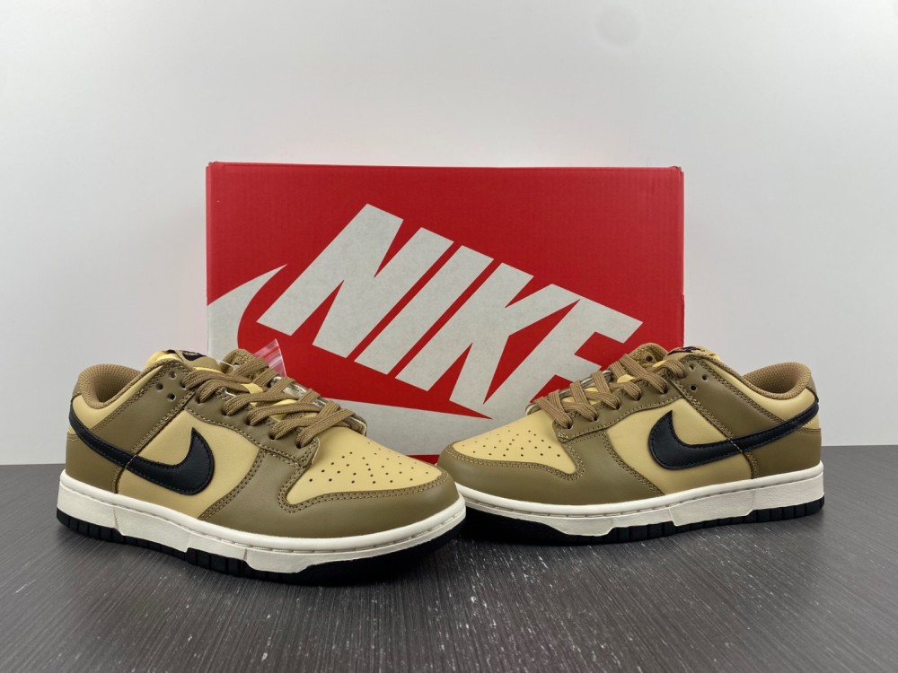 from SB Dunk Low Dark Driftwood DD1503-200