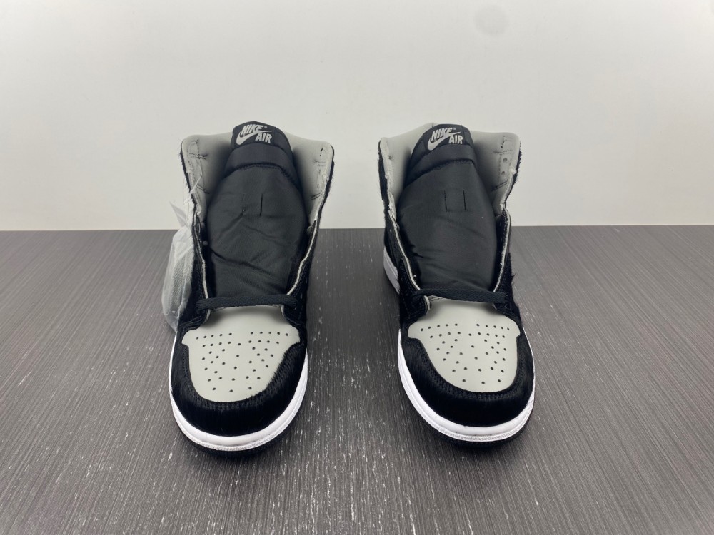 Air Jordan 1