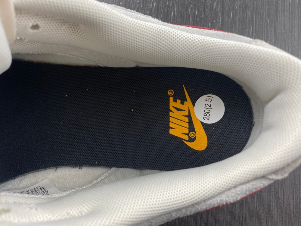 from SB Dunk Low