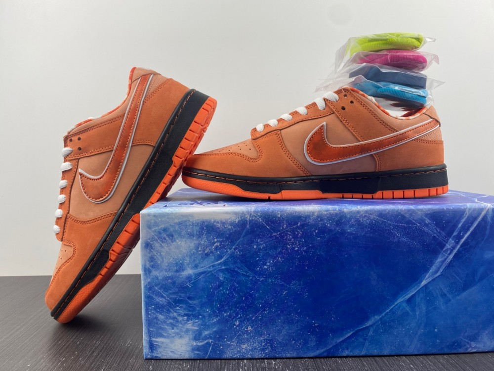from Concepts x Nike SB Dunk Low FD8776-800