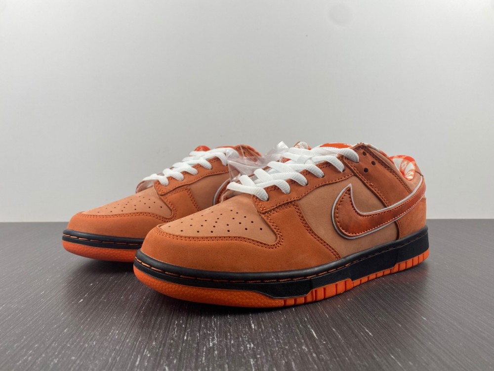 from Concepts x Nike SB Dunk Low FD8776-800