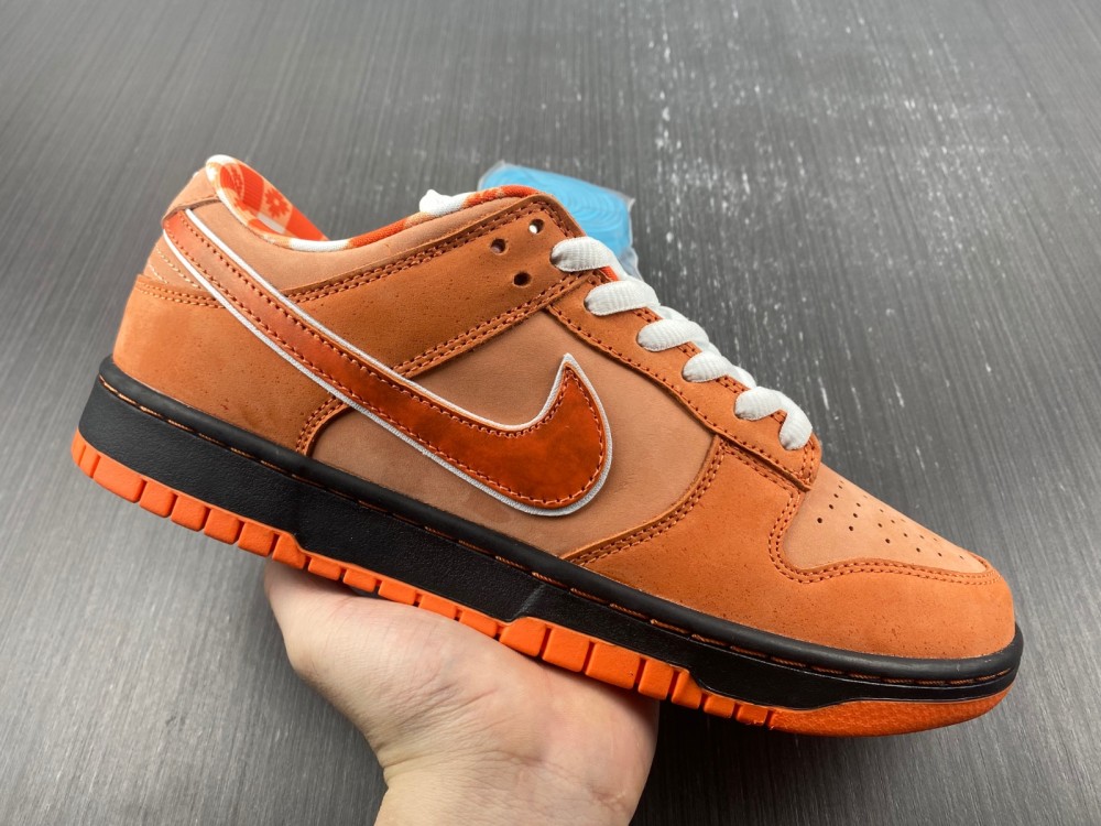 from Concepts x Nike SB Dunk Low FD8776-800