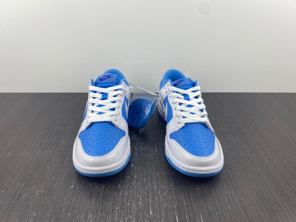 from Nike SB Dunk Low DJ9955-101