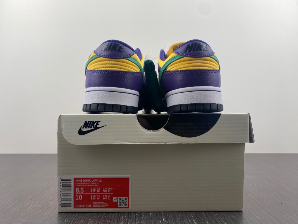 from Nike SB Dunk Low DO9581-500