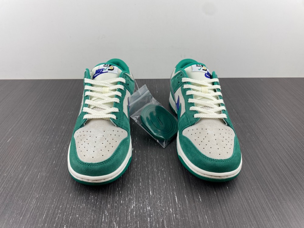 from Nike SB Dunk Low DO9457-101