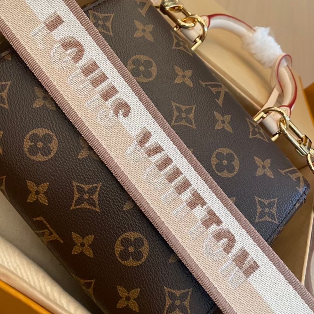 L*ouis V*uitton Top Bag