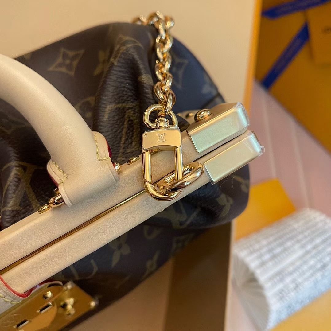 L*ouis V*uitton Top Bag