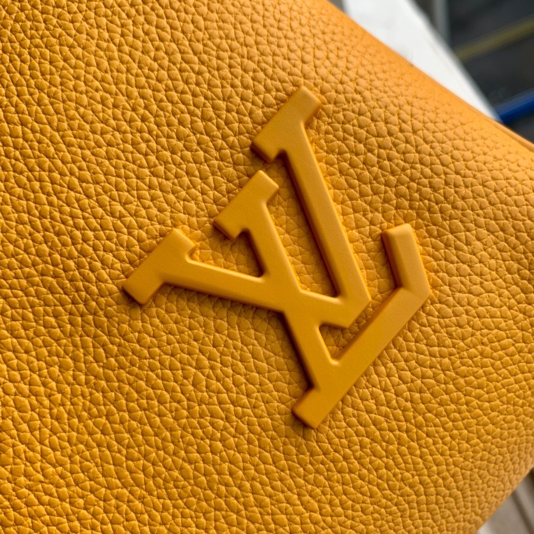 L*ouis V*uitton Top Bag