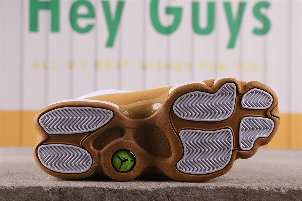 Air Jordan 13