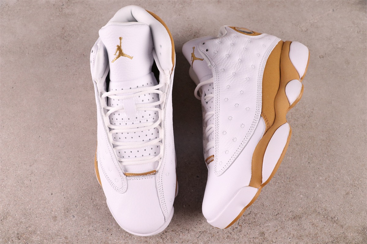 Air Jordan 13