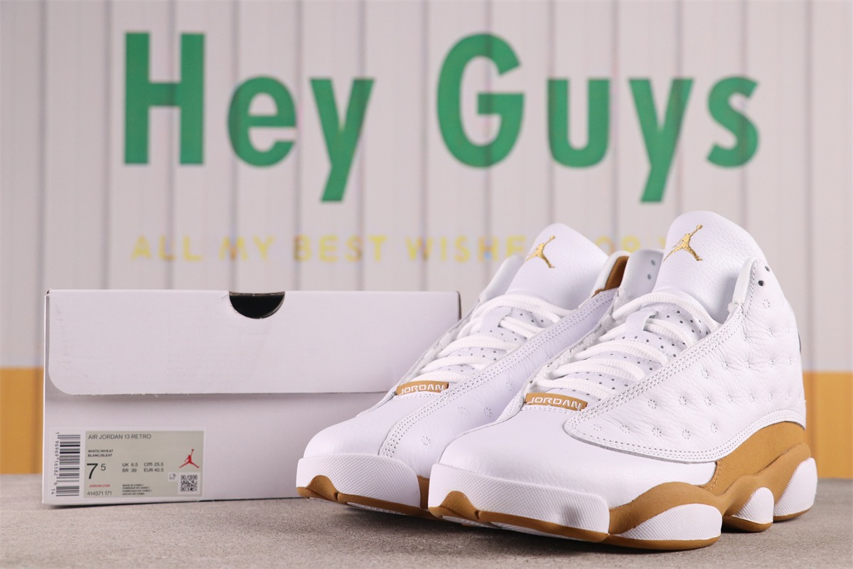 Air Jordan 13
