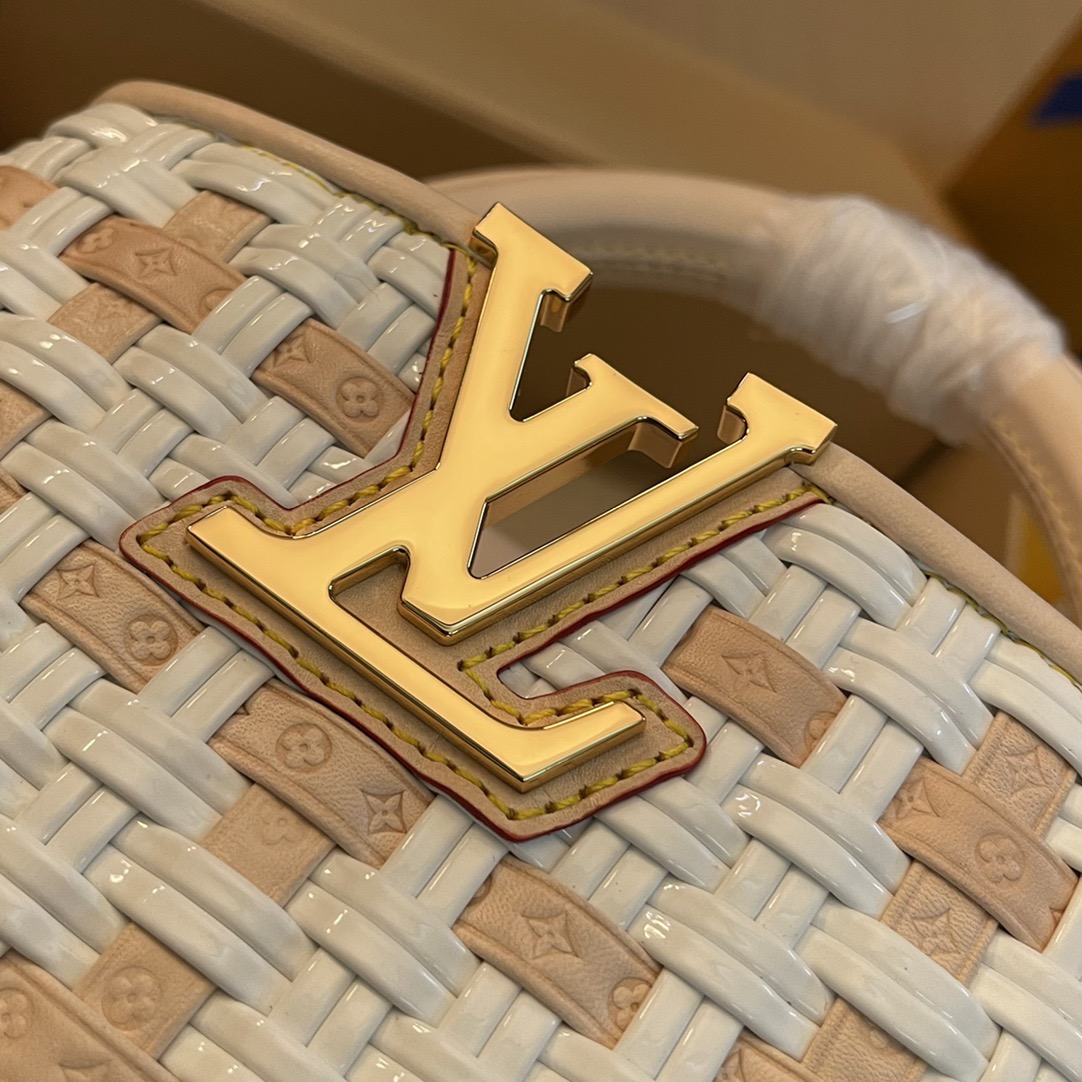 L*ouis V*uitton Top Bag