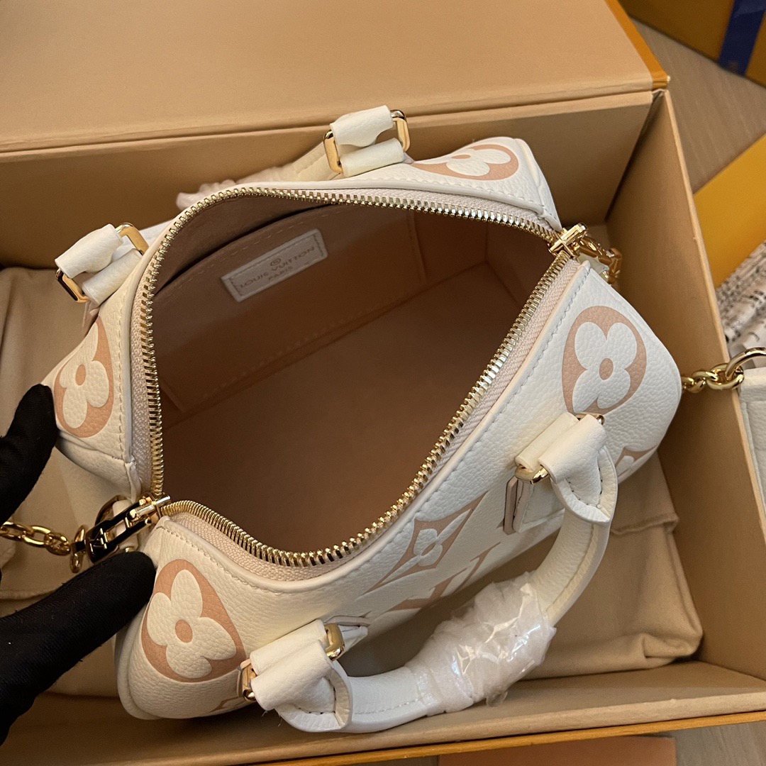 L*ouis V*uitton Top Bag