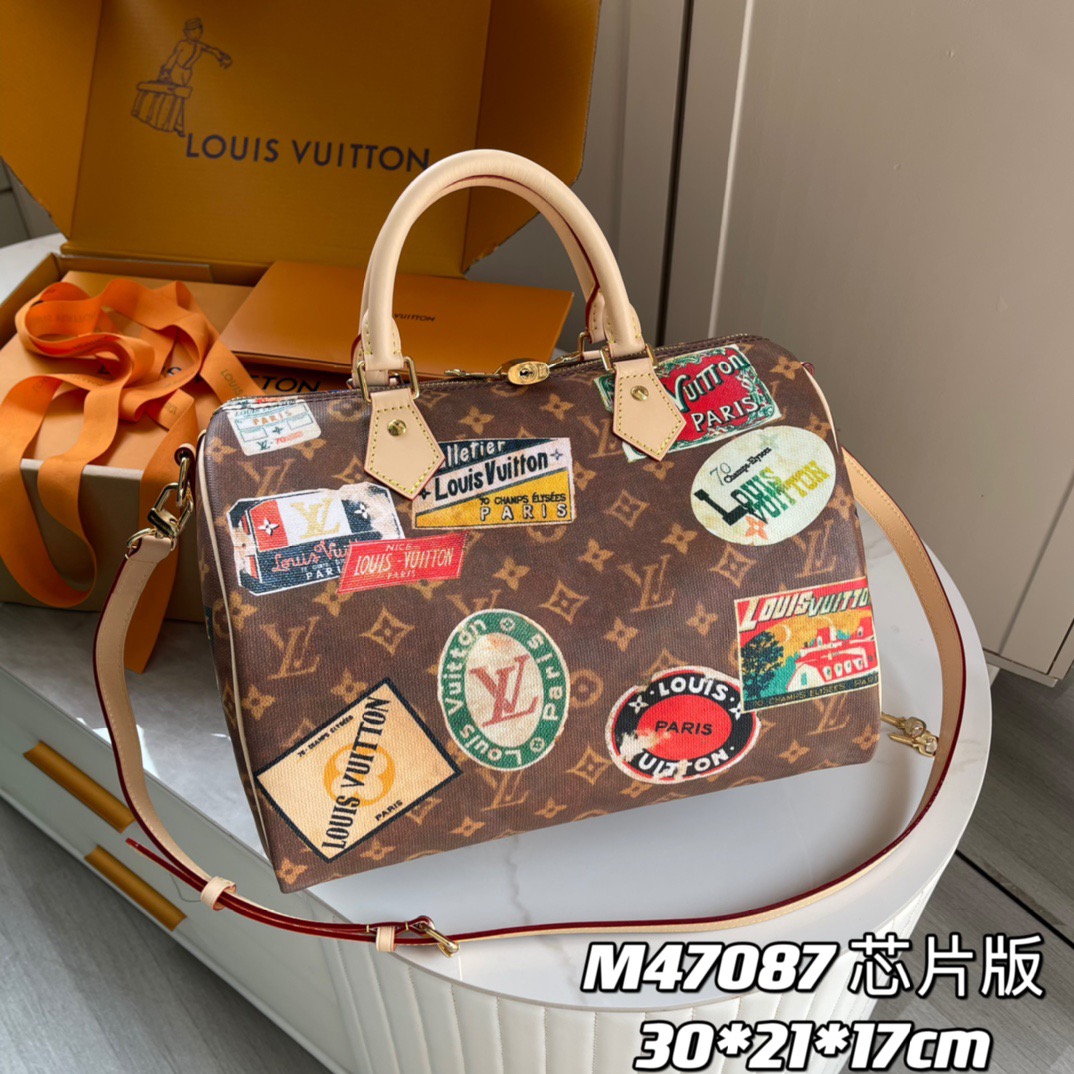 L*ouis V*uitton Top Bag
