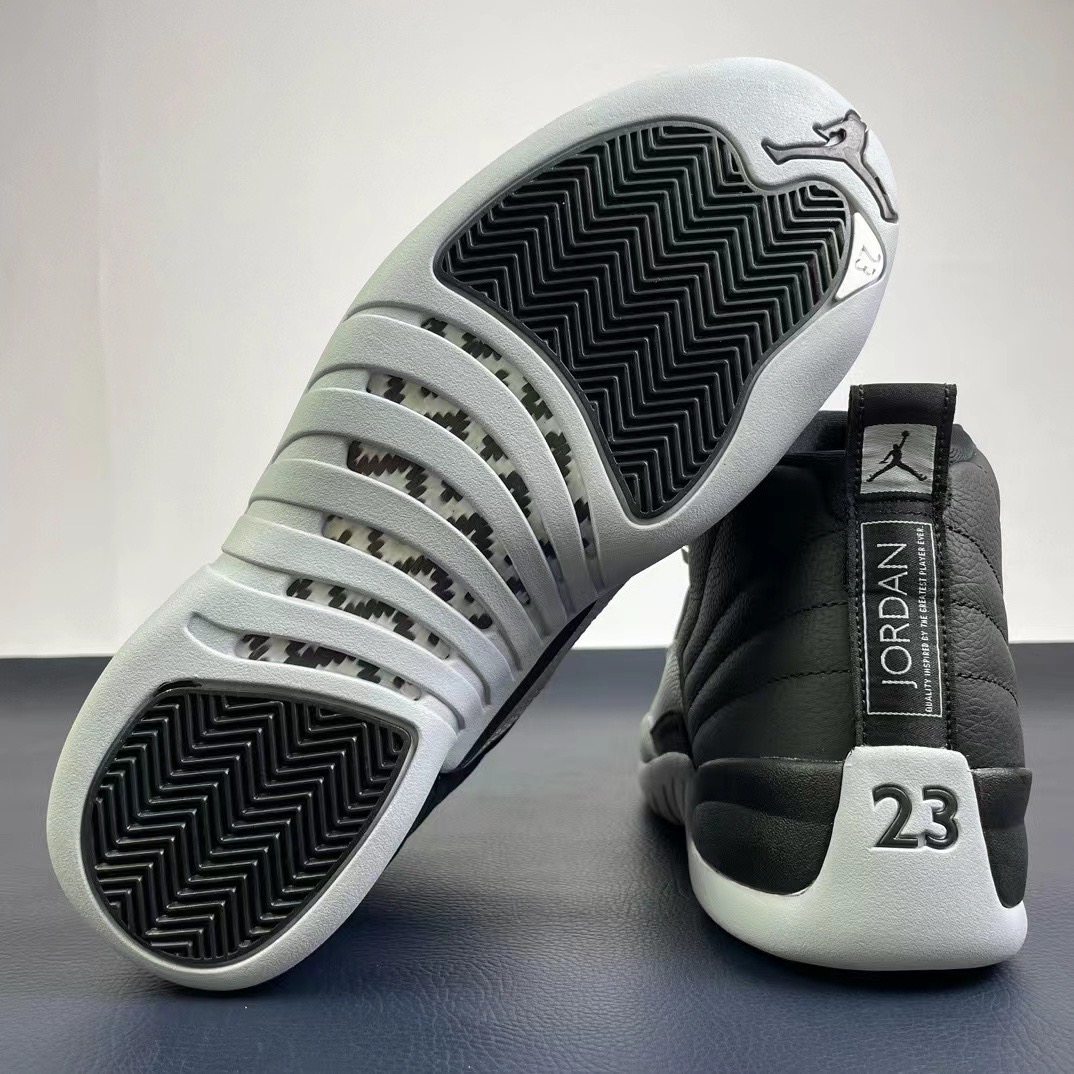 Air Jordan 12