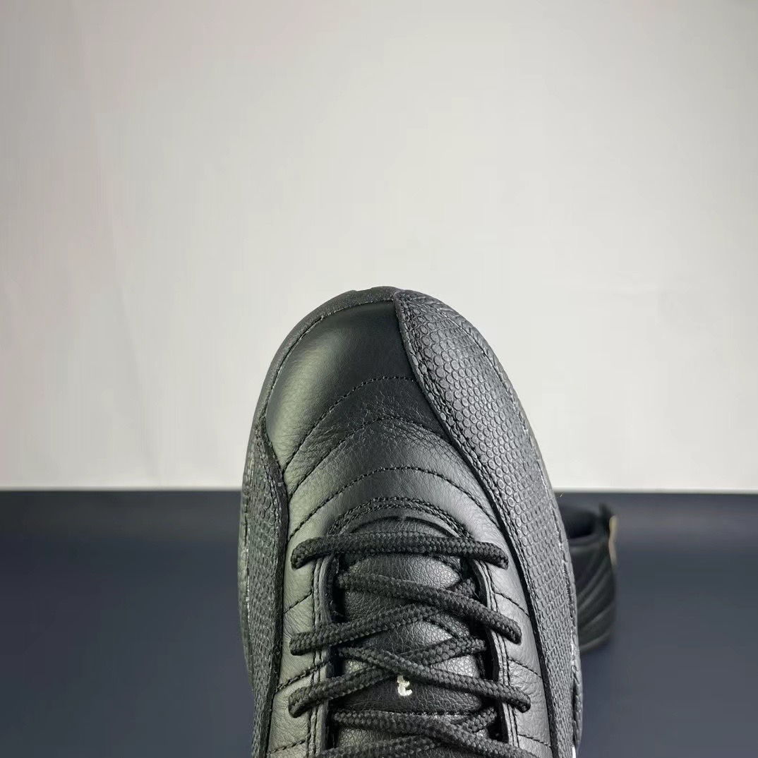 Air Jordan 12