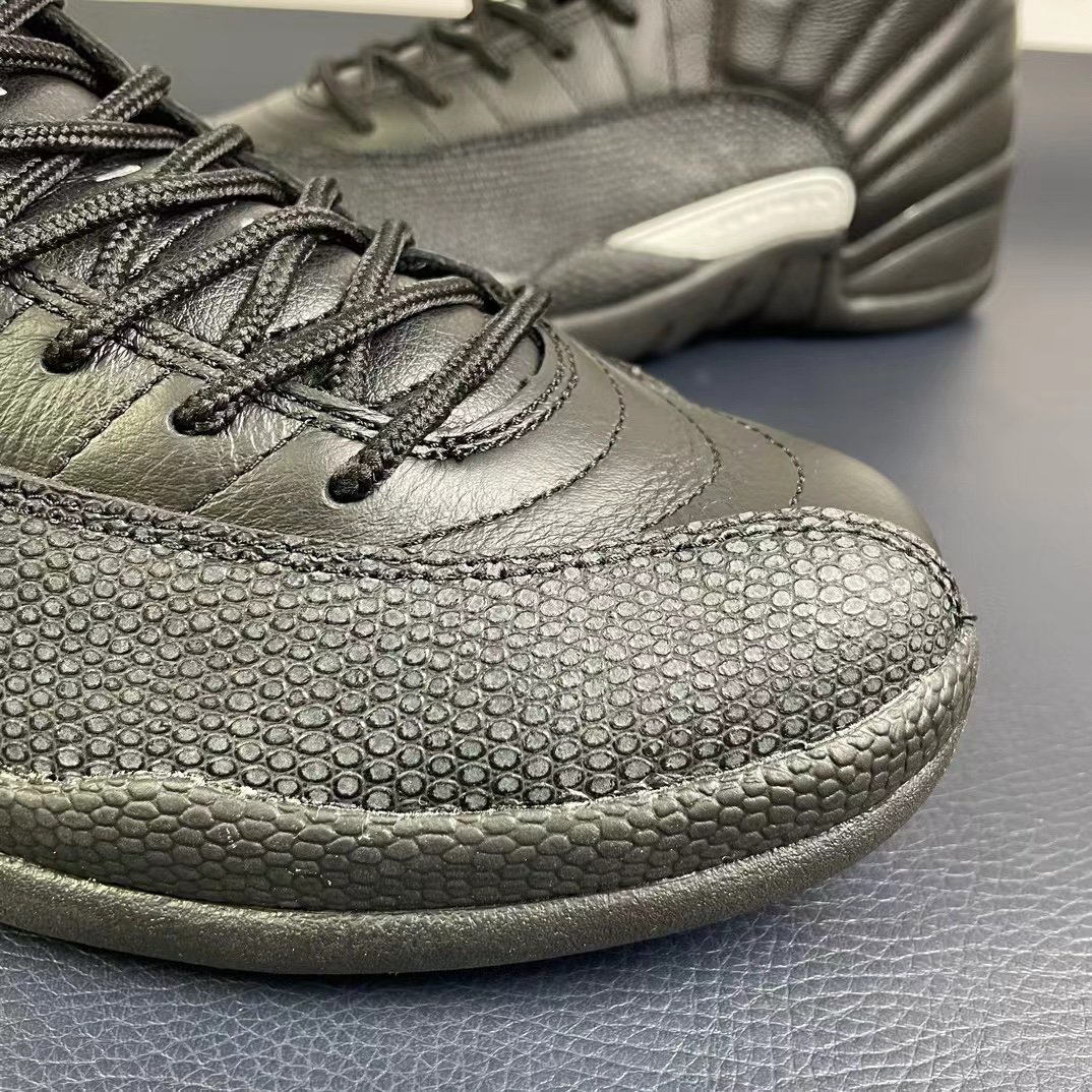 Air Jordan 12