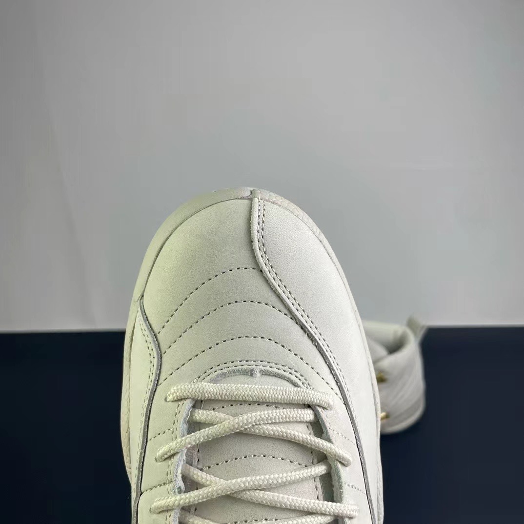 Air Jordan 12
