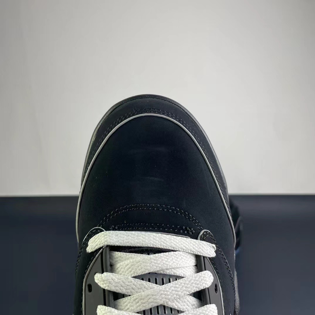 Air Jordan 5