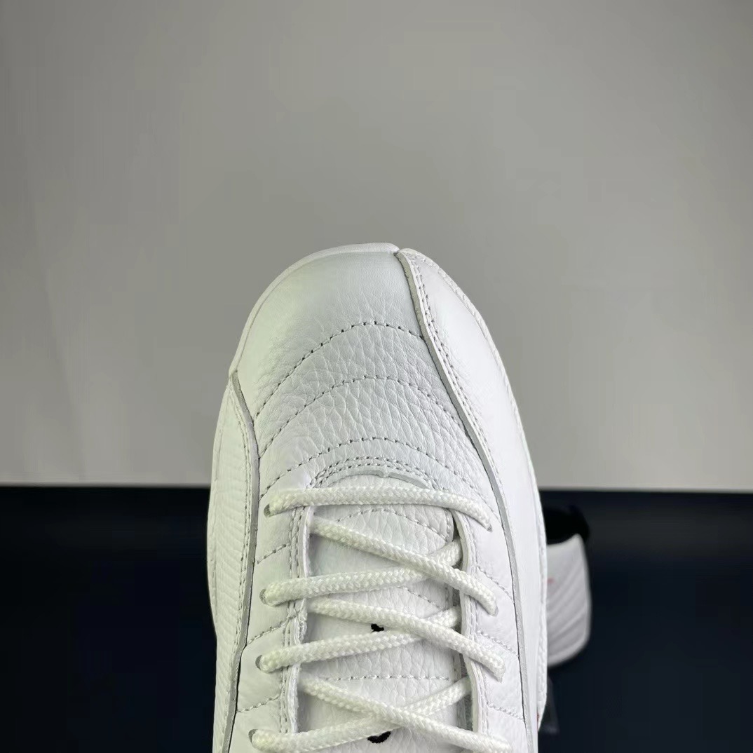 Air Jordan 12