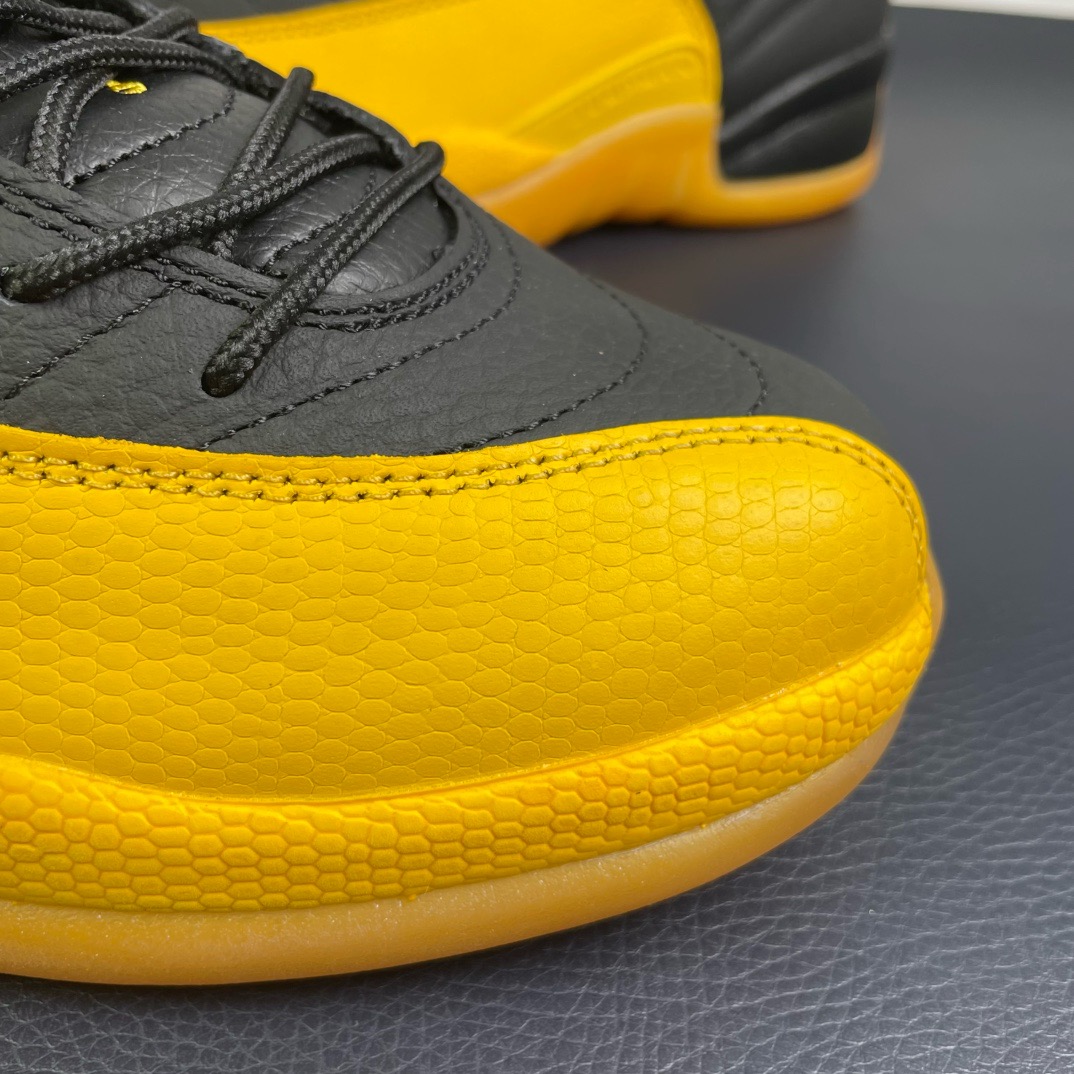 Air Jordan 12